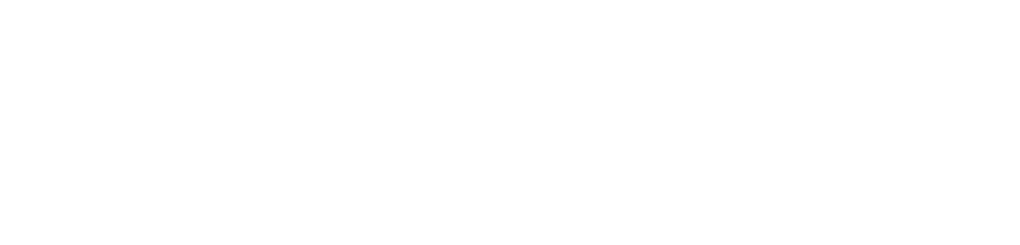 Infonexs